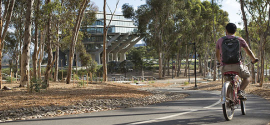 Peterson Hill bike path