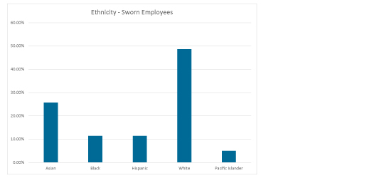 Ethnicity- Sowrn Employees